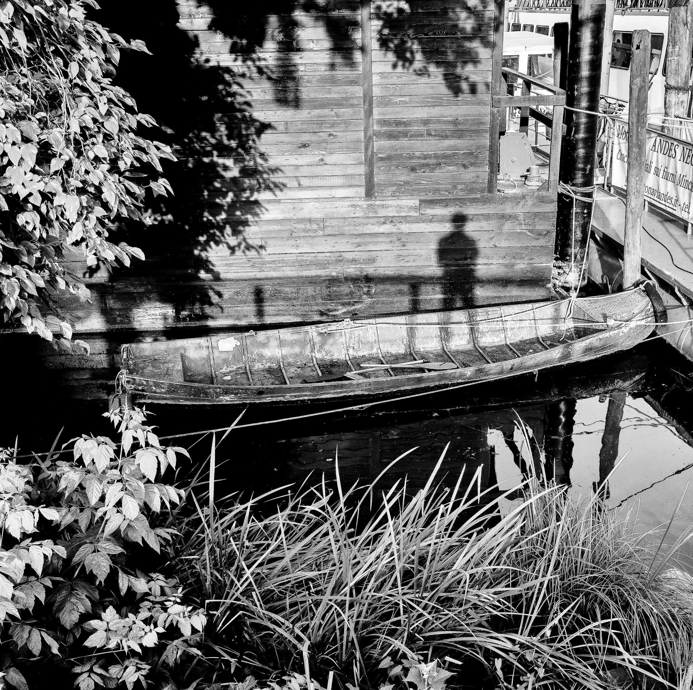 Street_Moment-9